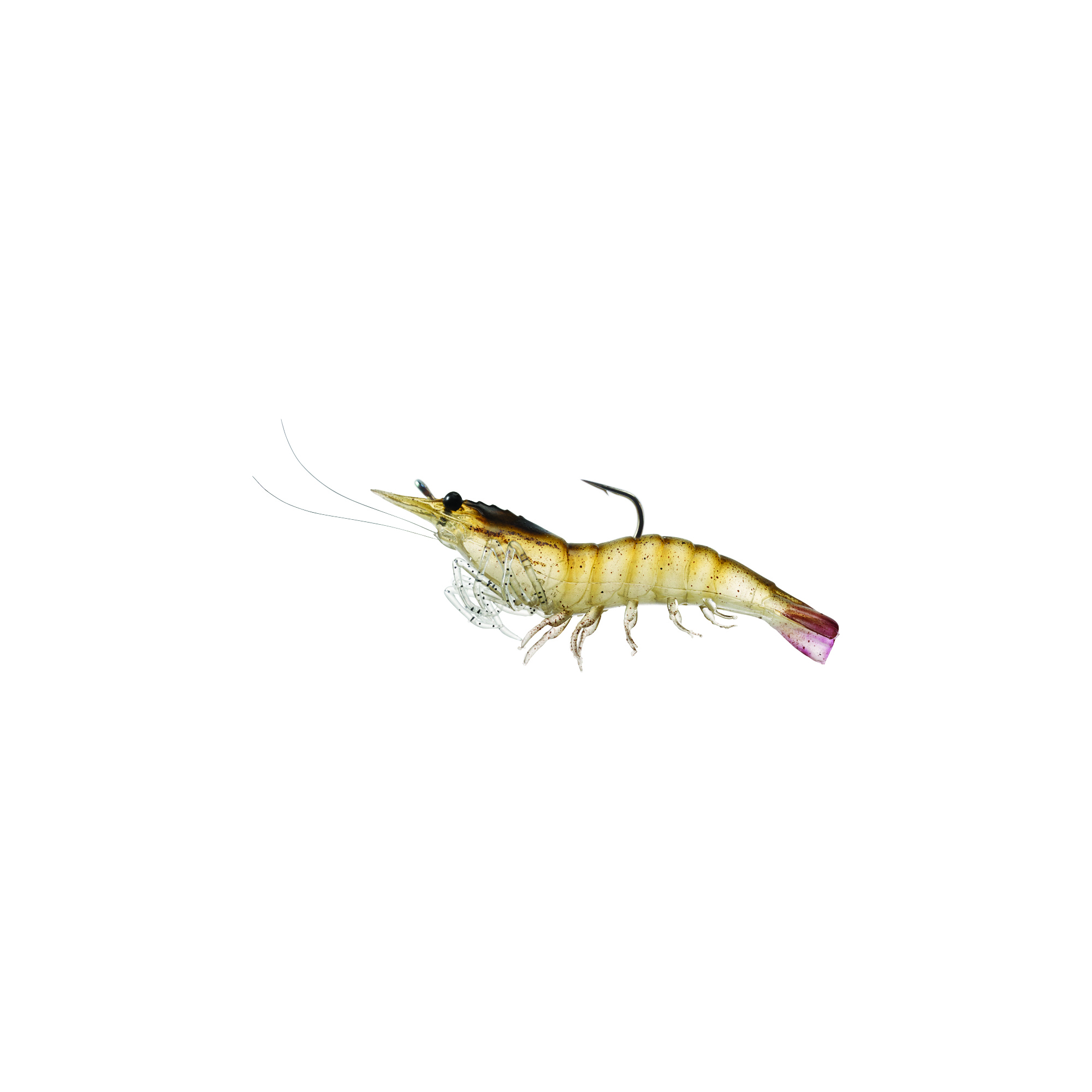 LiveTarget Shrimp 4'' PreRig