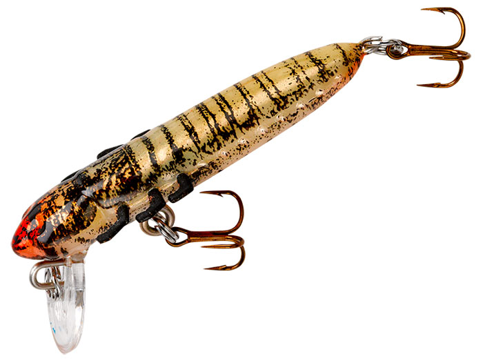 AMAZING Lure For Early Fall_NIKKO HELLGRAMMITE 