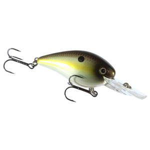 Shallow Diving Crankbait Stock Photo, Picture and Royalty Free Image. Image  4180962.